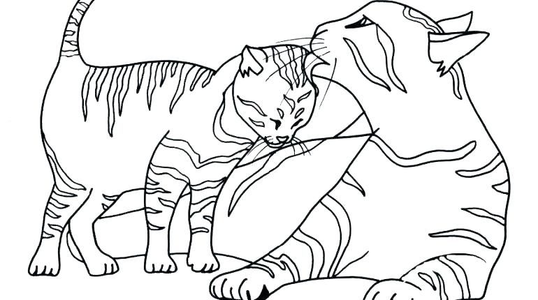 770x430 Coloring Page Cat Kitten In Cup Happy Kitten Coloring Page