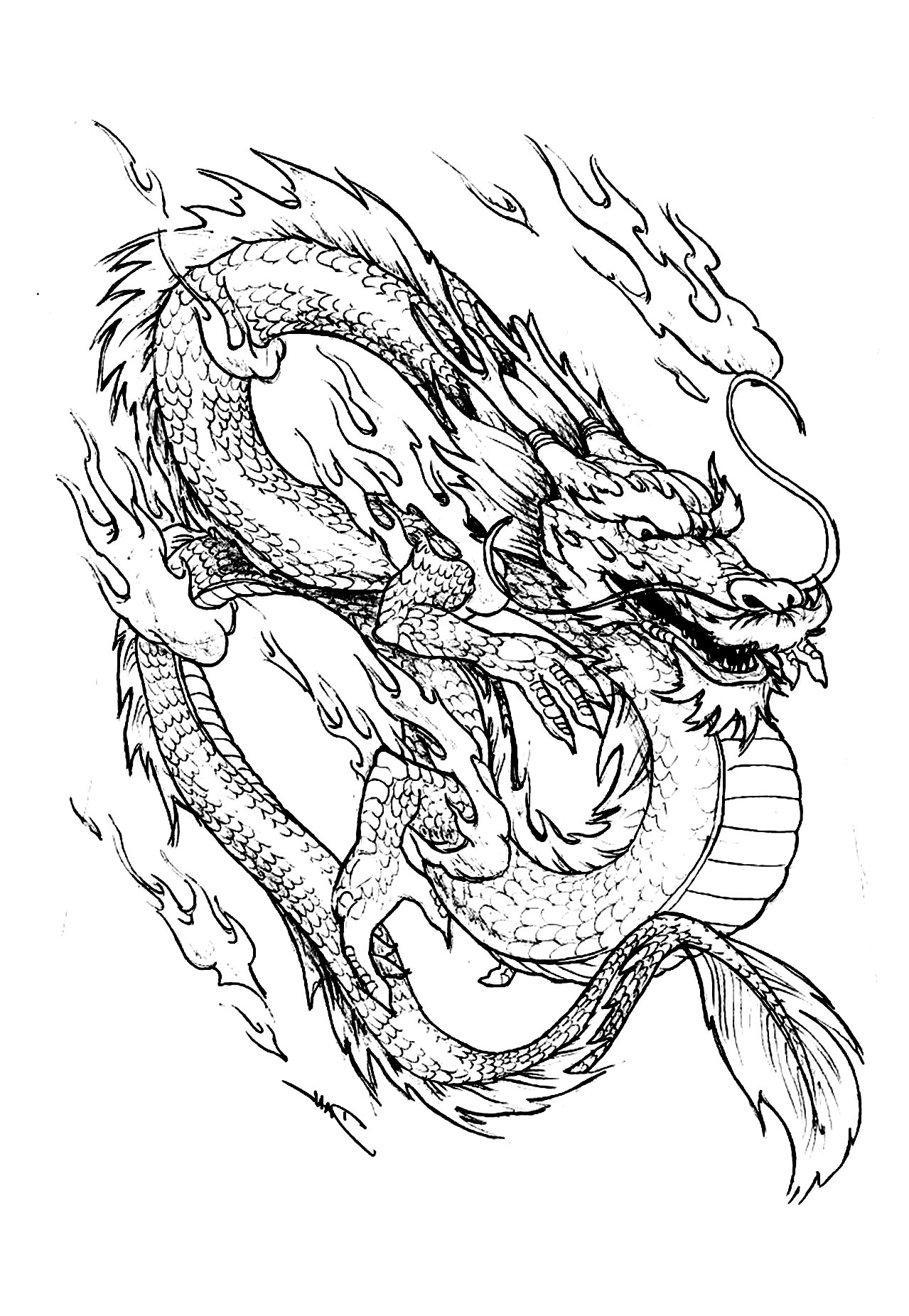 1279x1852 Chinese Dragon