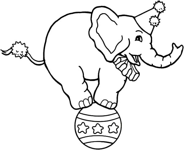 Drawing Circus Elephant Coloring Pages Best Place To Color 600x490 Drawing Circus Elephant Coloring Pages Best Place To Color