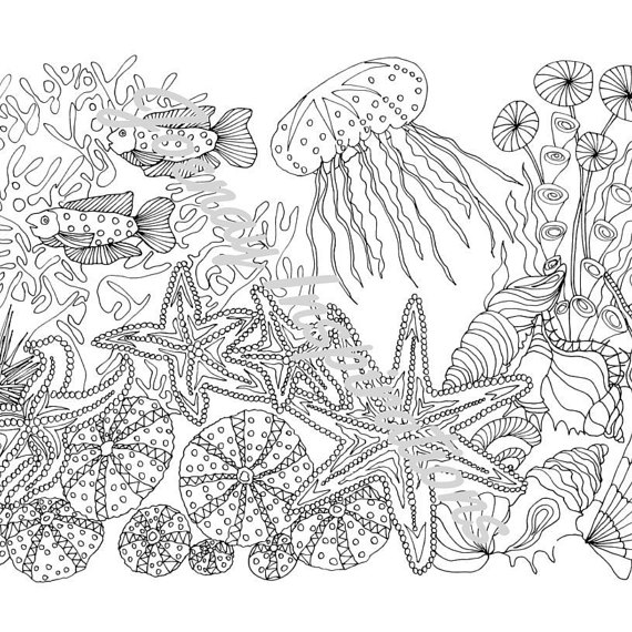 570x570 Adult Coloring Pages Ocean