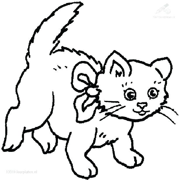 Coloring Pages Cat Cute Cat Coloring Pages Cats Coloring Pages 612x614 Coloring Pages Cat Cute Cat Coloring Pages Cats Coloring Pages