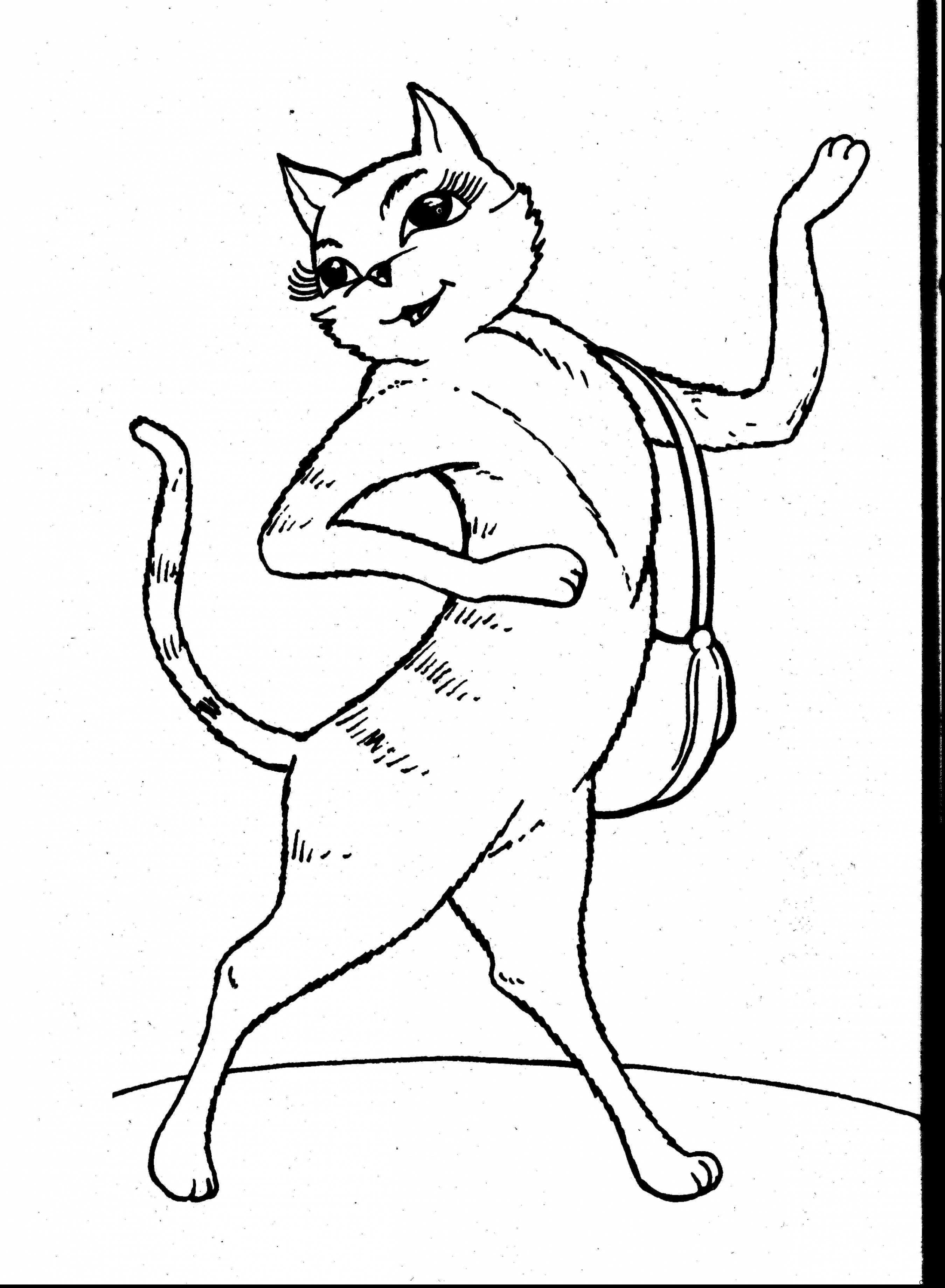 Cute Cat Coloring Pages 1451454241adult Two Cats Adult 27f Funny 2699x3677 Cute Cat Coloring Pages 1451454241adult Two Cats Adult 27f Funny