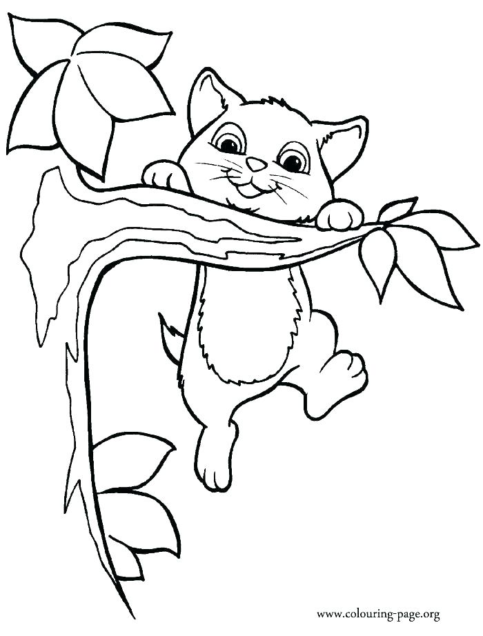 Kitten Coloring Pages 700x922 Kitten Coloring Pages