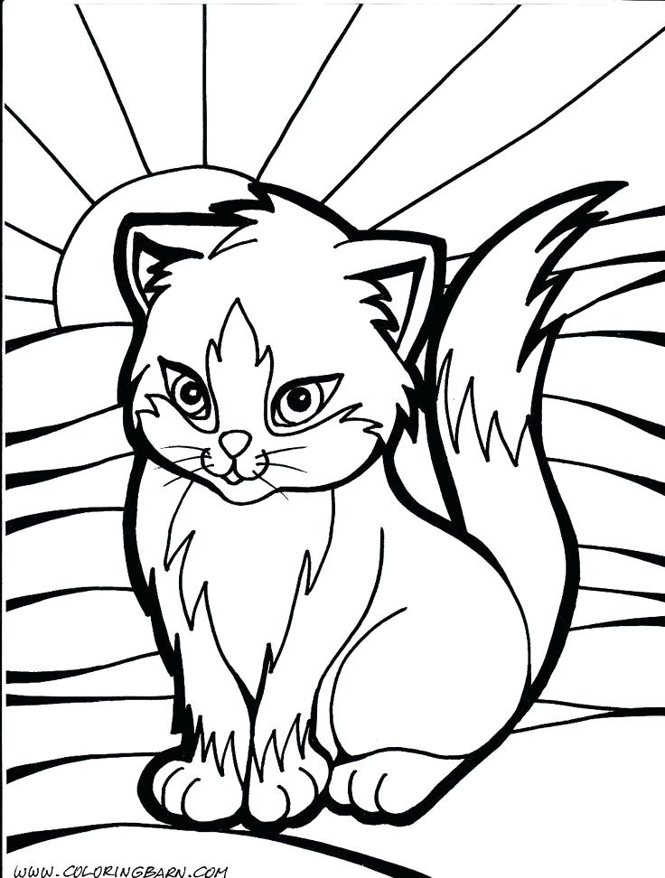 Cat Coloring Page Ideas Mandala On Trend Cute Cat Coloring Kitty 736x972 Cat Coloring Page Ideas Mandala On Trend Cute Cat Coloring Kitty