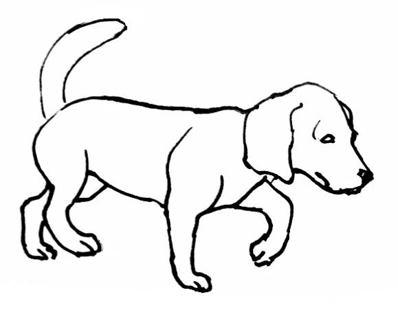 Dog Coloring Pages 579x451 Dog Coloring Pages