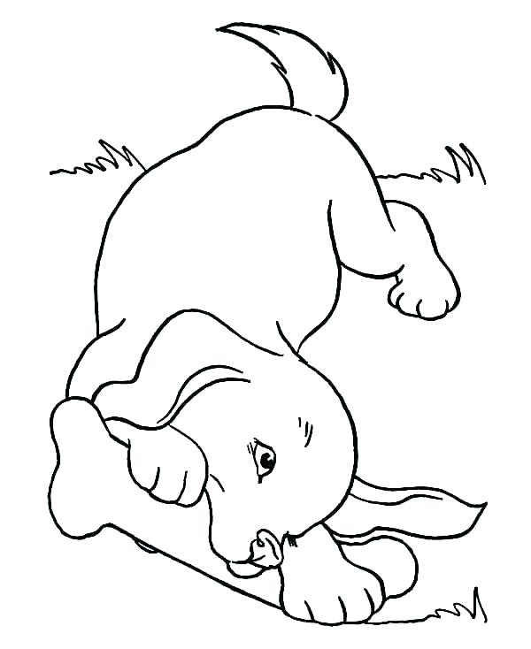 Coloring Pages Of Cute Dogs And Puppies Devon Creamteas 600x734 Coloring Pages Of Cute Dogs And Puppies Devon Creamteas