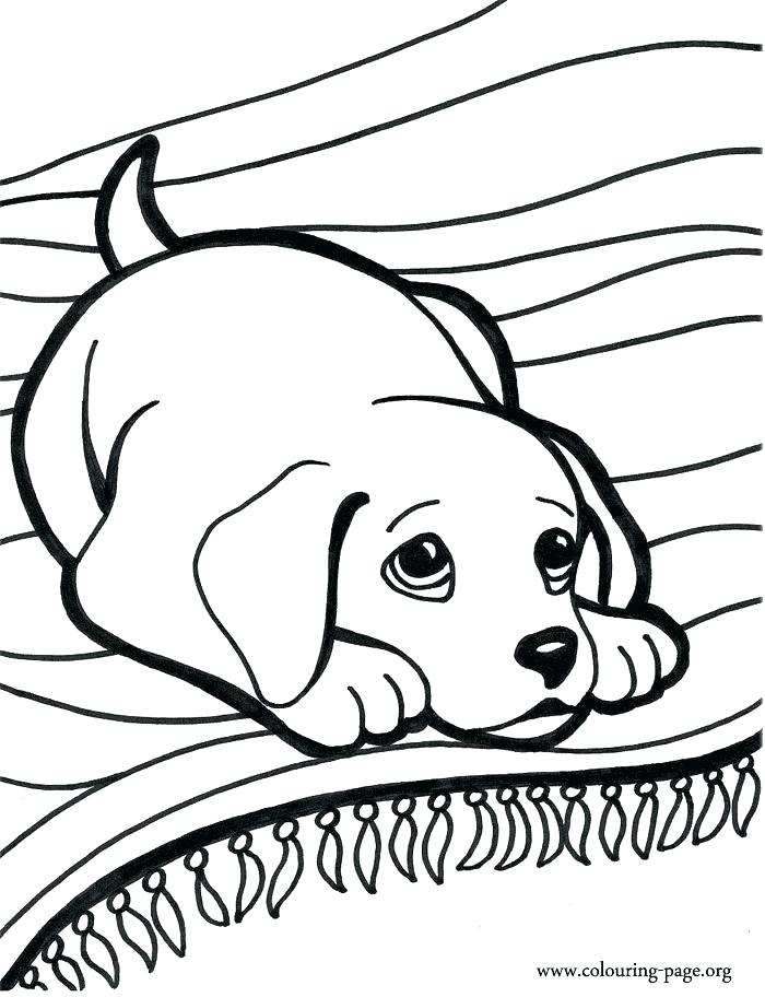 Coloring Pages Of Cute Dogs And Puppies Dog Coloring Pages Cute 700x912 Coloring Pages Of Cute Dogs And Puppies Dog Coloring Pages Cute