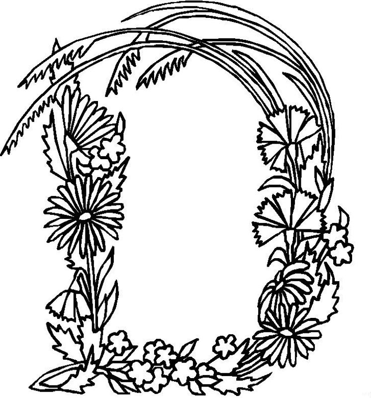 746x800 Alphabet Flower D Coloring Pages