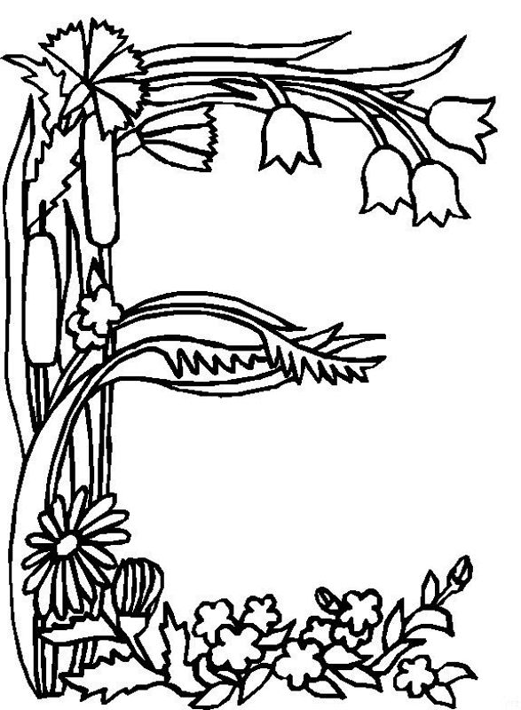 587x800 Alphabet Flower E Coloring Pages
