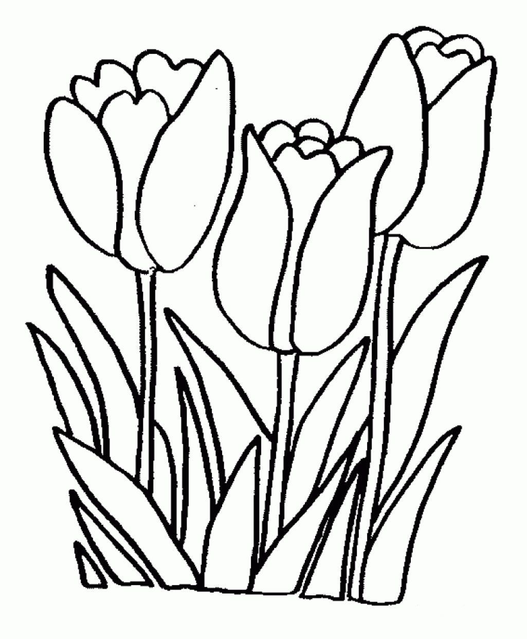 Coloring Pages Flower Free Printable Coloring Pages Easy Printable 1025x1243 Coloring Pages Flower Free Printable Coloring Pages Easy Printable