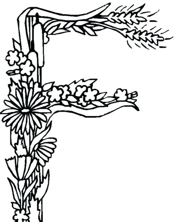 600x766 Letter Coloring Pages For Toddlers Kids Coloring Letter F Coloring