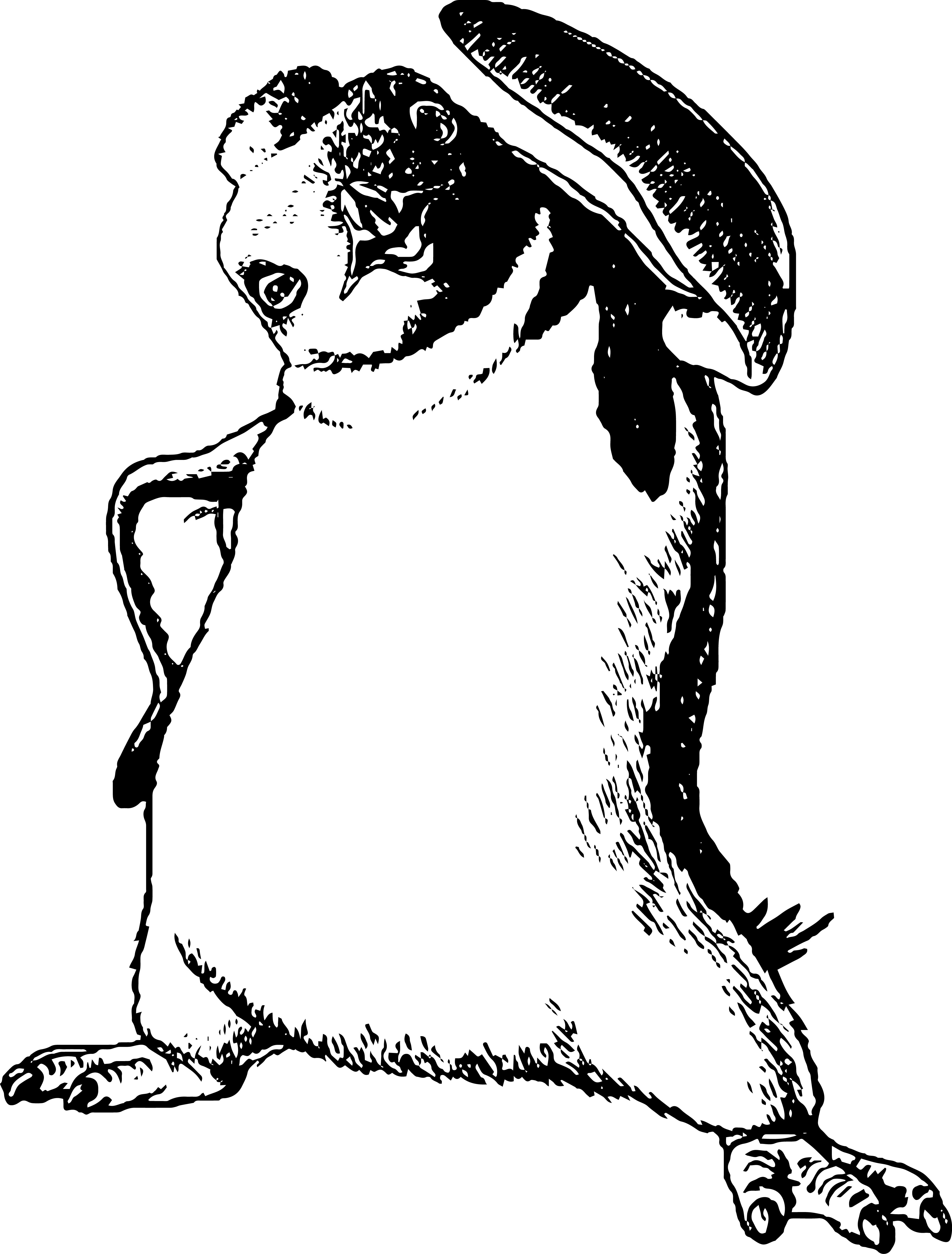 3859x5083 Happy Feet Coloring Pages Download