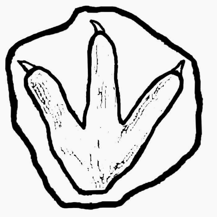 700x700 Dinosaur Feet Coloring Pages