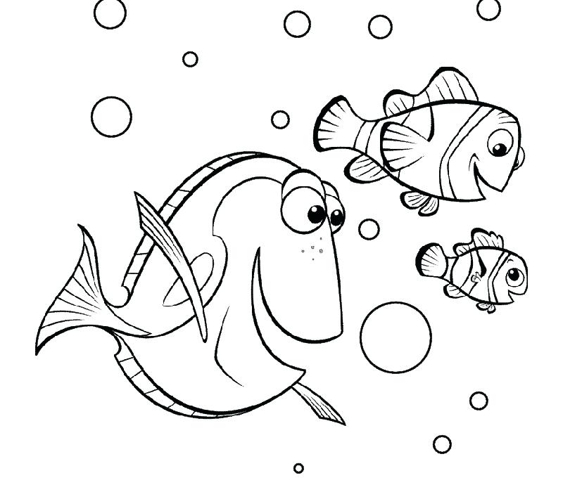 800x700 Finding Nemo Coloring Pages Marlin
