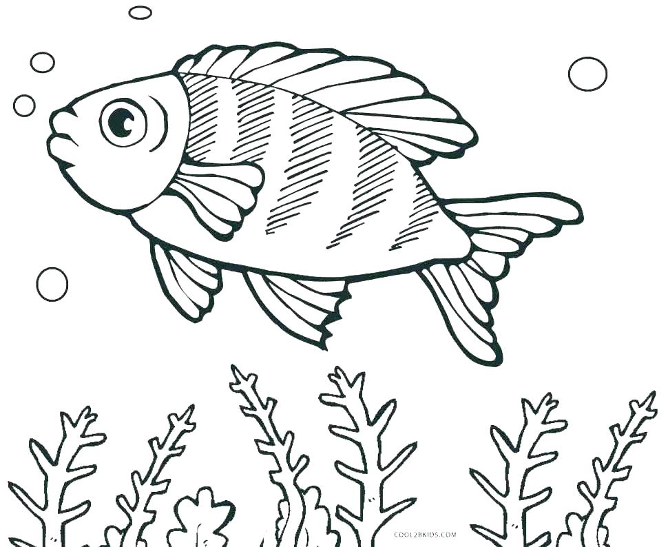 970x794 Fish Printable Coloring Pages Fish Printable Coloring Pages Fish