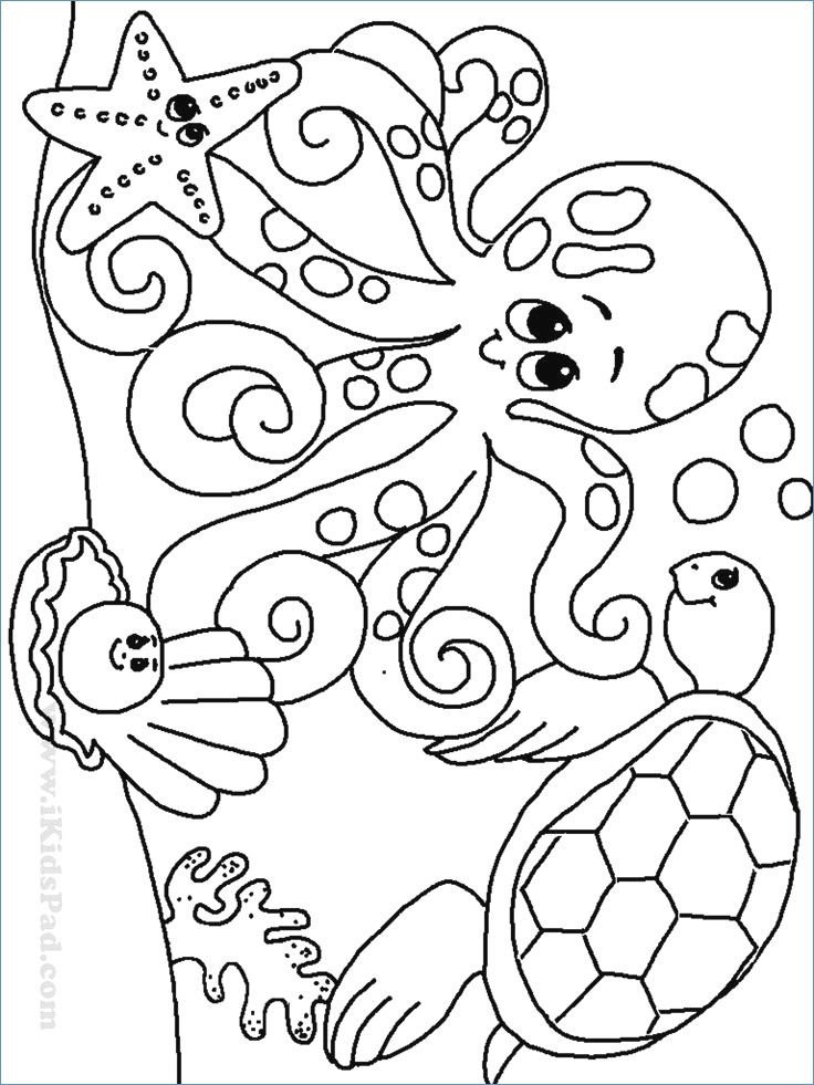 Super Mario 3 Coloring Pages 736x981 Super Mario 3 Coloring Pages