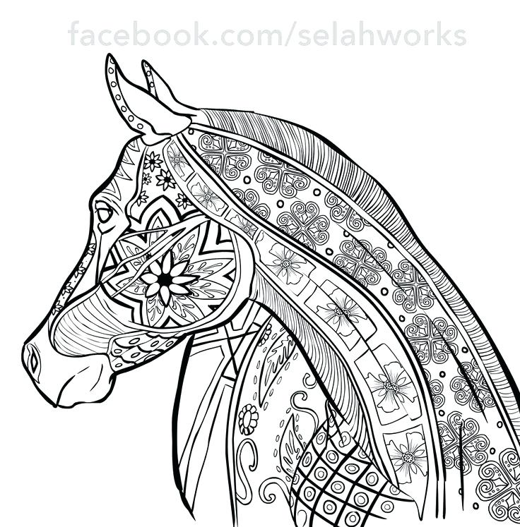 Print Coloring Pages Animals Inspirational Horse Coloring Pages 736x747 Print Coloring Pages Animals Inspirational Horse Coloring Pages