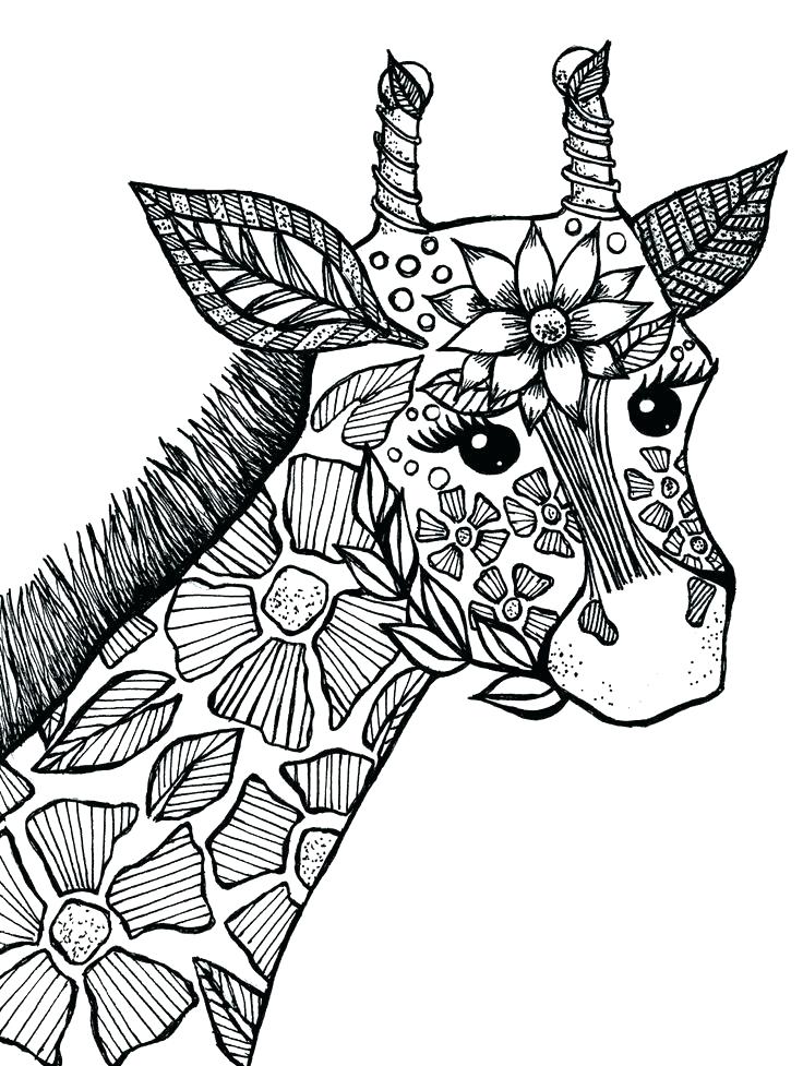 Adult Coloring Pages Animals Archives 736x977 Adult Coloring Pages Animals Archives