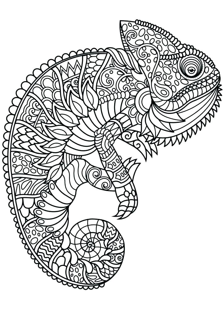 Animal Coloring Pages For Adults 724x1024 Animal Coloring Pages For Adults
