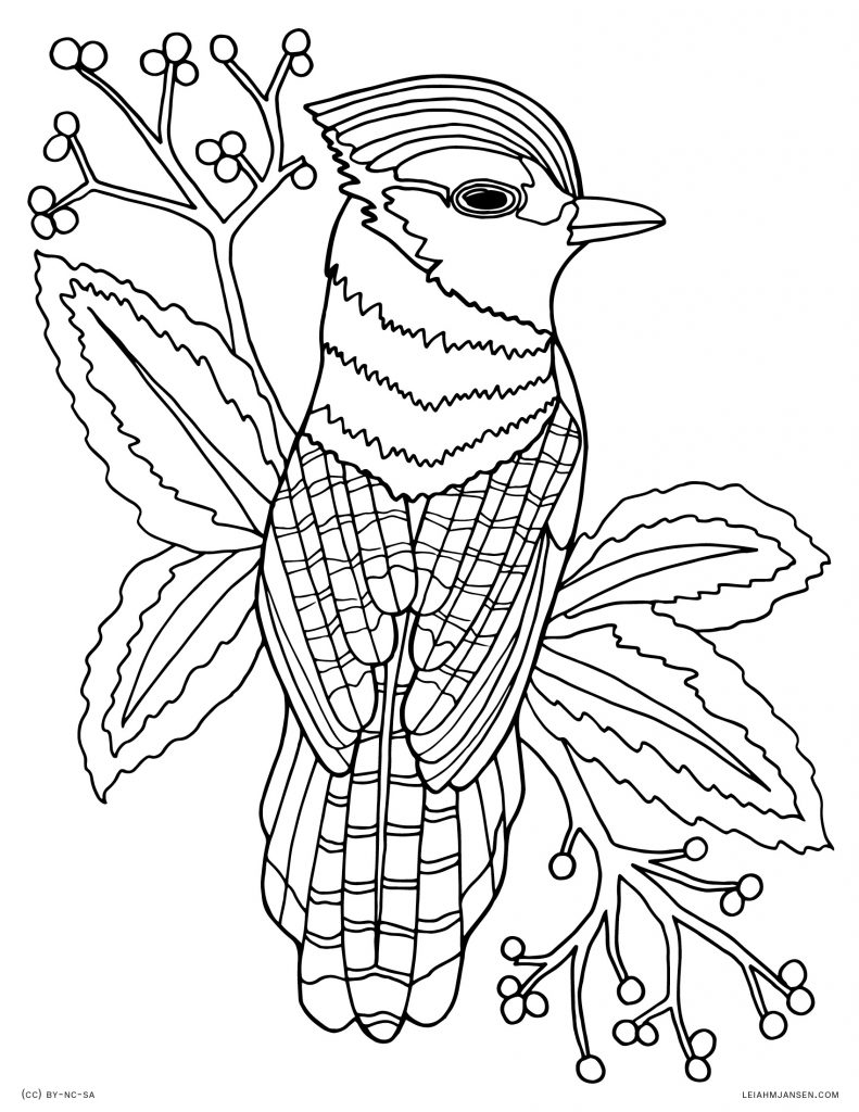 791x1024 Dreaded Blue Jay Coloring Pages Freeronto Jays Colouring Baseball