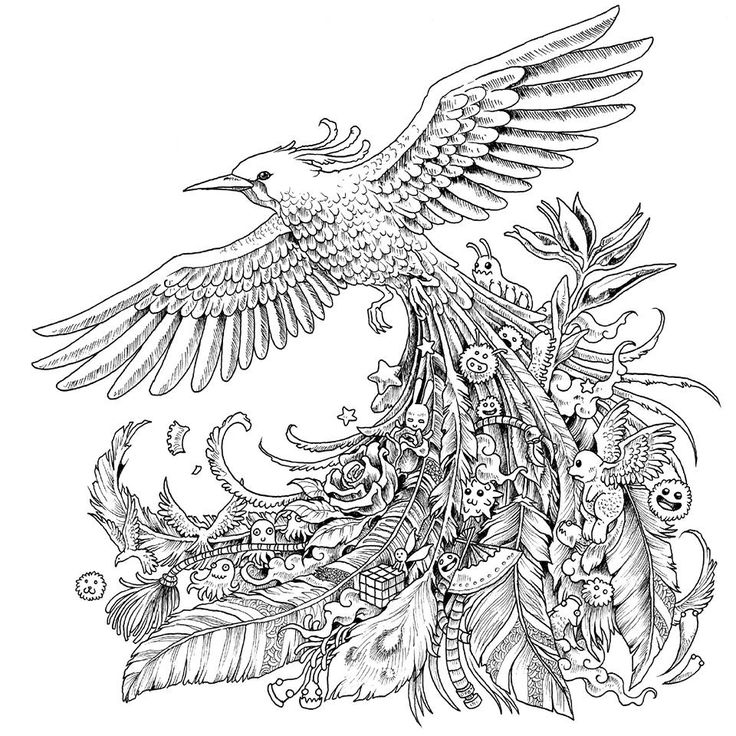 736x736 443 Best Coloring