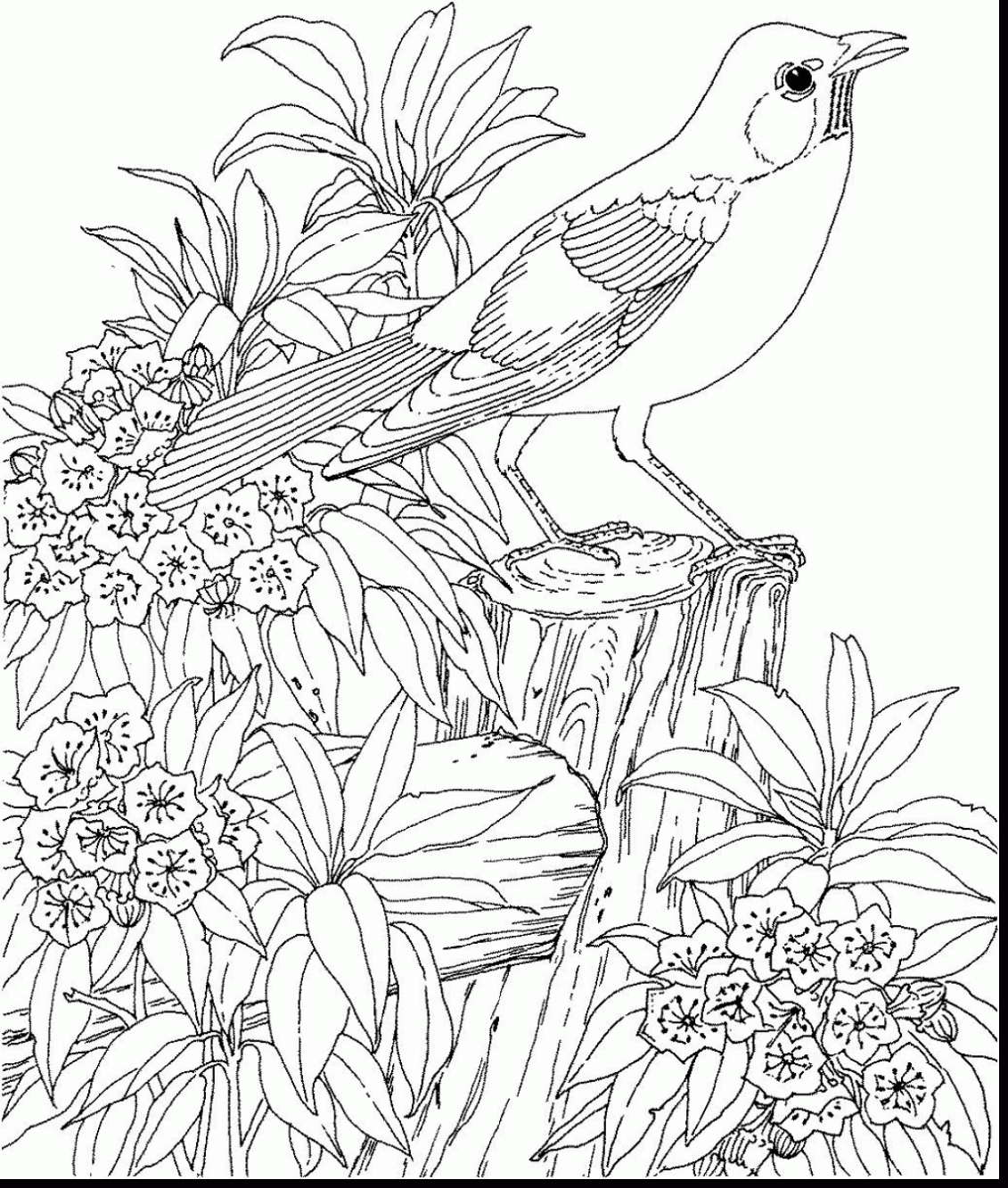 1131x1333 New Tropical Birds Adult Coloring Pages Design Printable