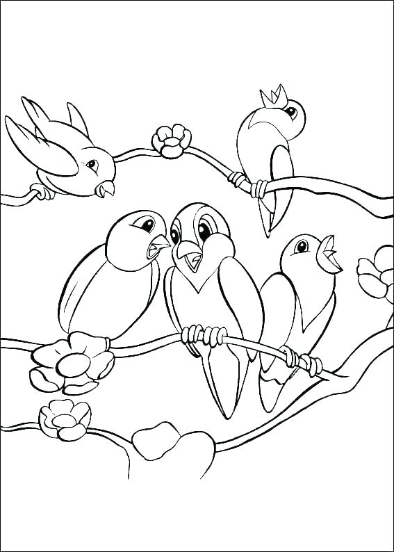 567x794 Coloring Pages For Birds