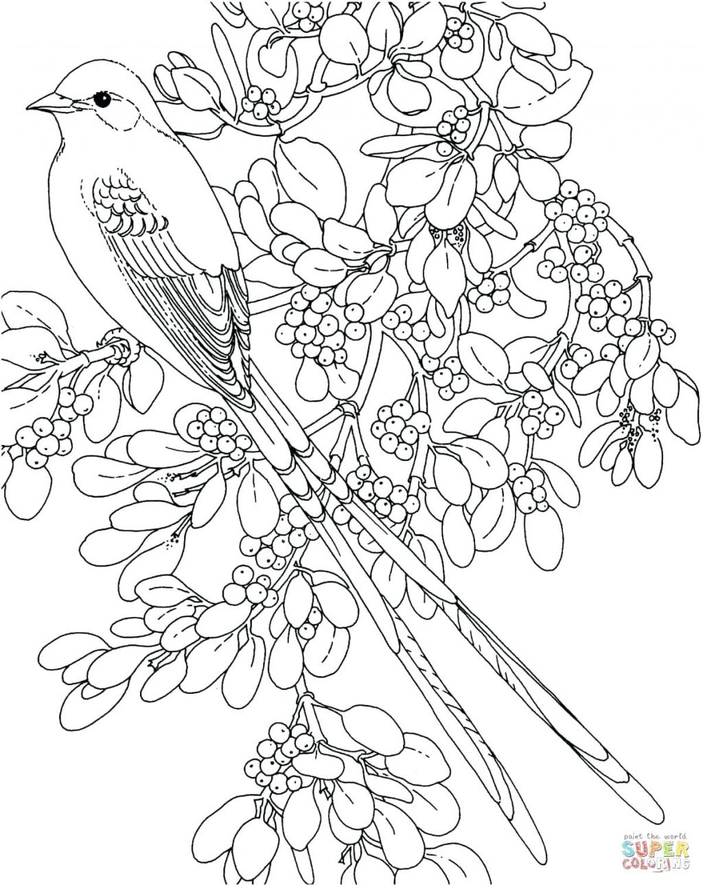 1024x1288 Coloring Pages ~ Birds Coloring Pages Scissor Tailed Flycatcher