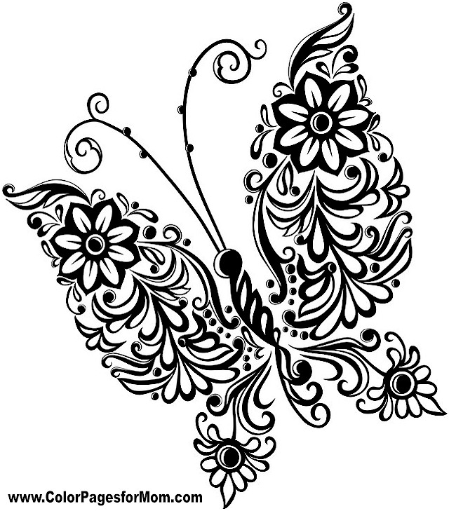 640x729 Butterfly Coloring Page 37 Butterflies To Color
