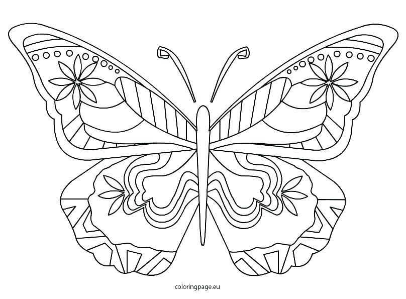 808x595 Butterfly Coloring Page Printable Butterfly Coloring Book