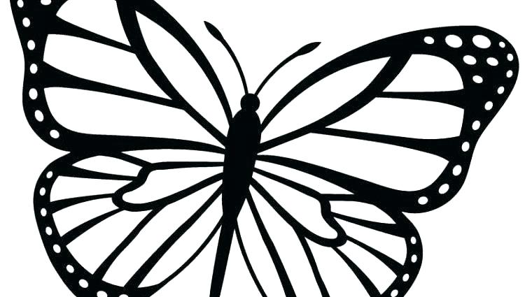 750x425 Butterfly Coloring Pages For Adults Printable Best Of Butterfly