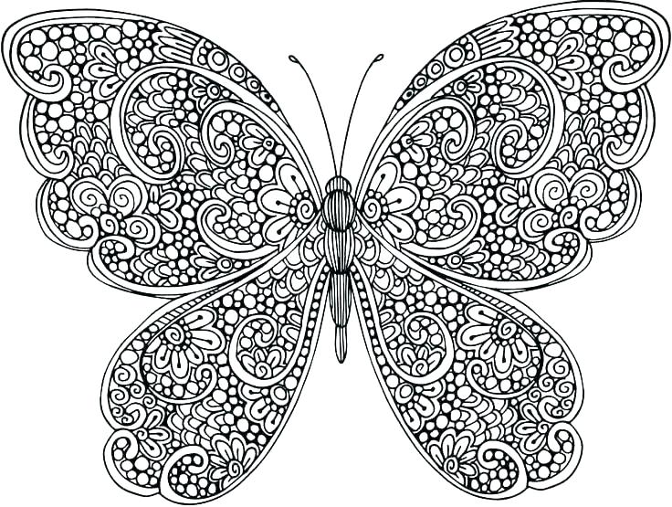 736x555 Butterflies Coloring Pages