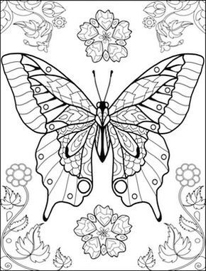 290x381 World Of Butterflies Coloring Page Coloring