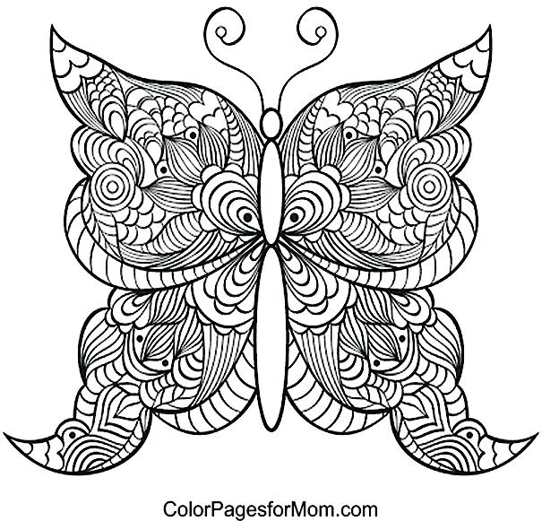 605x581 Butterflies And Flowers Coloring Pages For Adults Great Printable