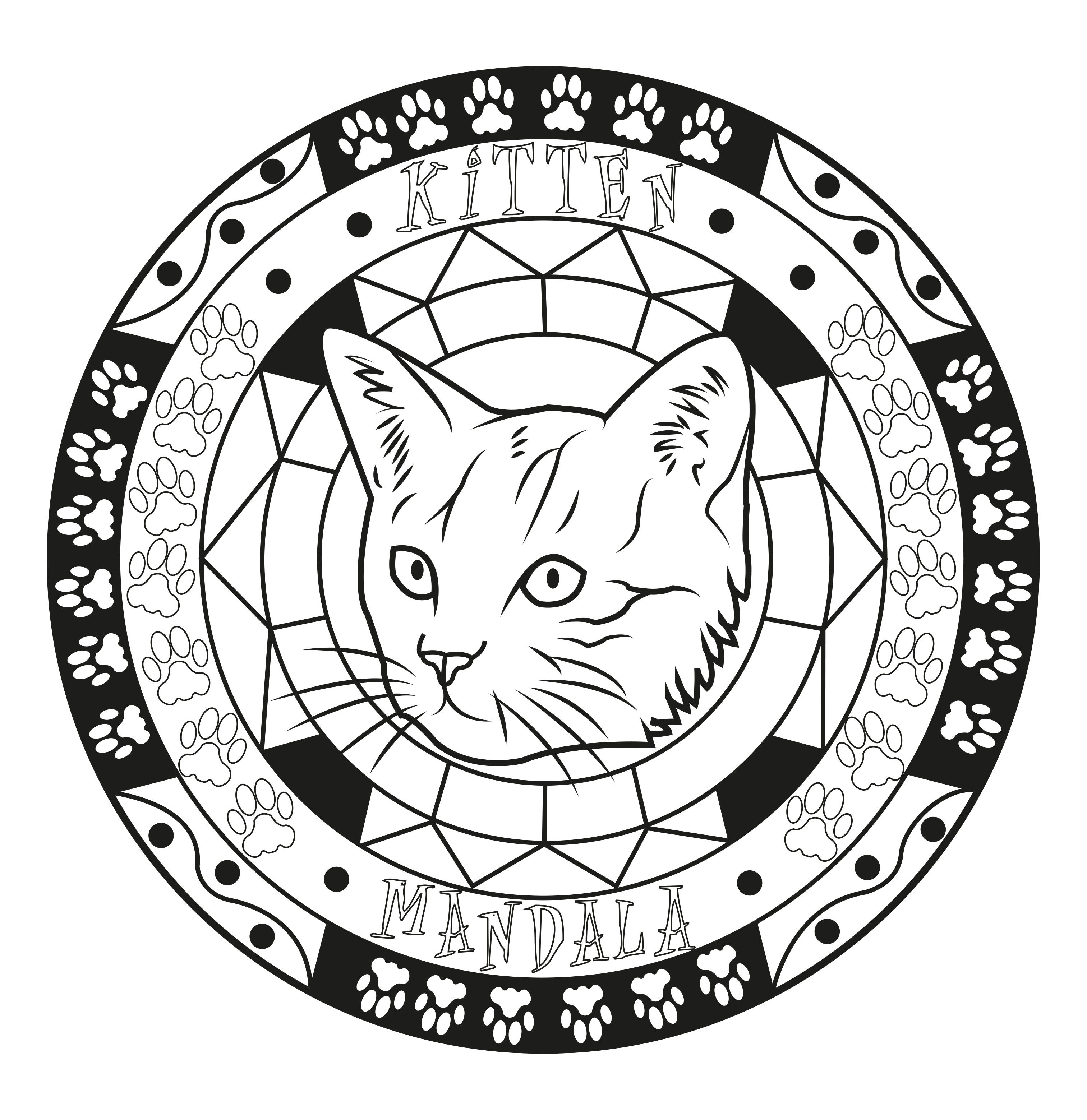 3025x3118 Mandala Cat By Allan