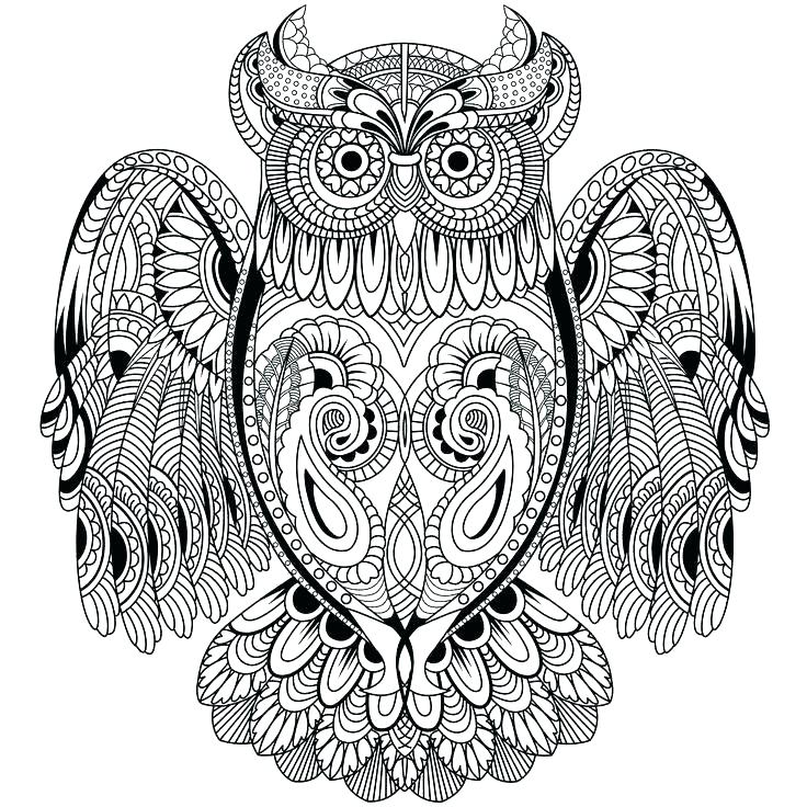 736x736 Owl Coloring Page Owl Mandala Coloring Page Coloring Page Of Owl