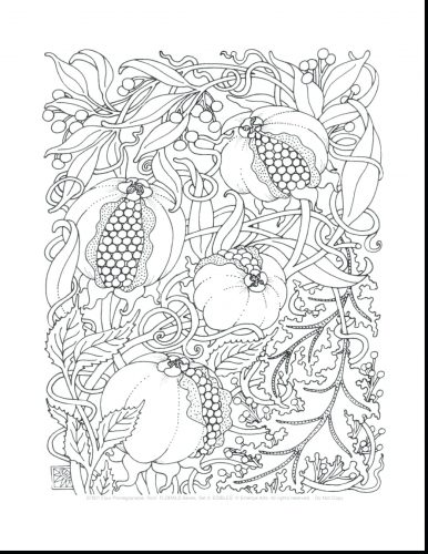 386x500 Coloring Pages ~ Complicated Coloring Pages For Girls To Pretty