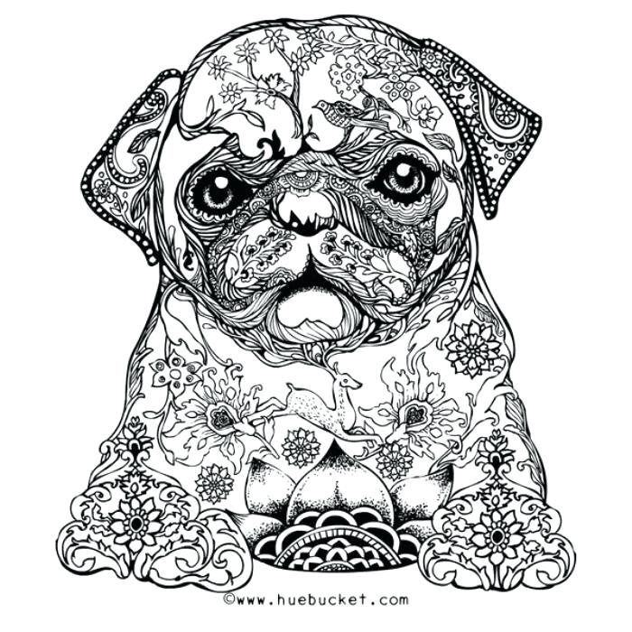 700x700 Amazing Animal Coloring Pages Adults And Coloring Sheets