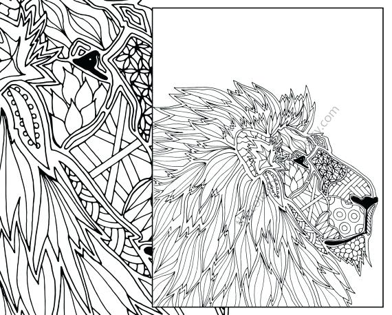 570x457 Amazing Animal Coloring Pages Adults Coloring Pages