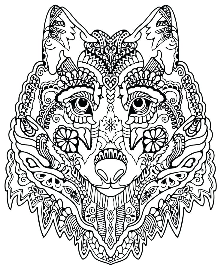 736x896 Animal Coloring Page Coloring Pages Adults Cat Head Cats