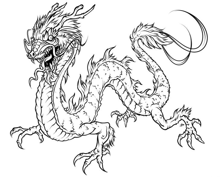 736x588 Dragon Coloring Pages For Adults Educational Coloring Pages