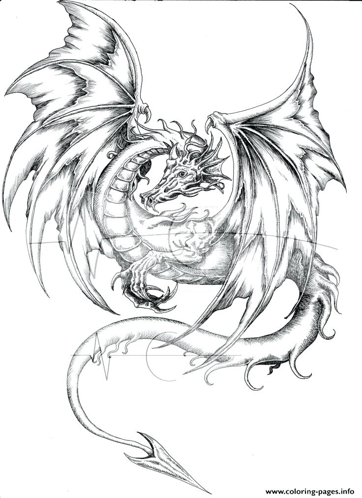 736x1012 Dragon Printable Coloring Pages Printable Dragon Coloring Pages