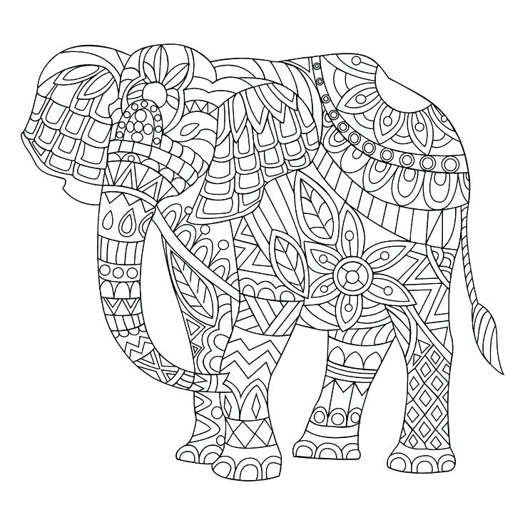 Coloring Page Elephant Elephant Color Page In Addition To Coloring 736x736 Coloring Page Elephant Elephant Color Page In Addition To Coloring