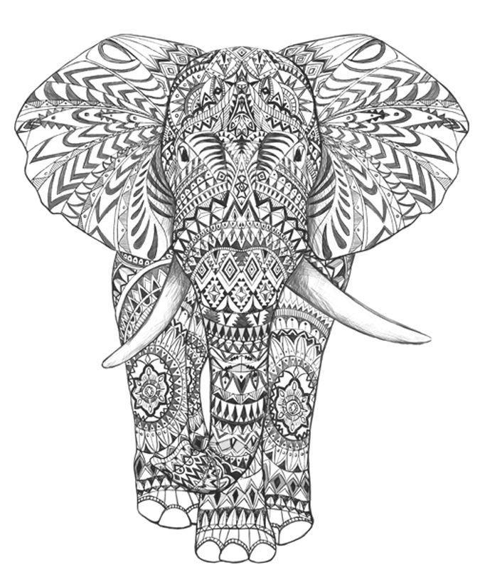 Coloring Pages For Adults Difficult Elephants 675x825 Coloring Pages For Adults Difficult Elephants