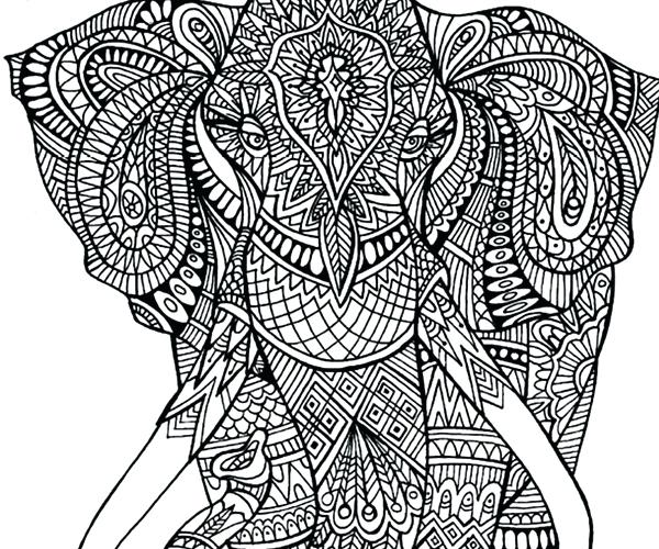 Adult Coloring Elephant 1898315 600x500 Adult Coloring Elephant 1898315