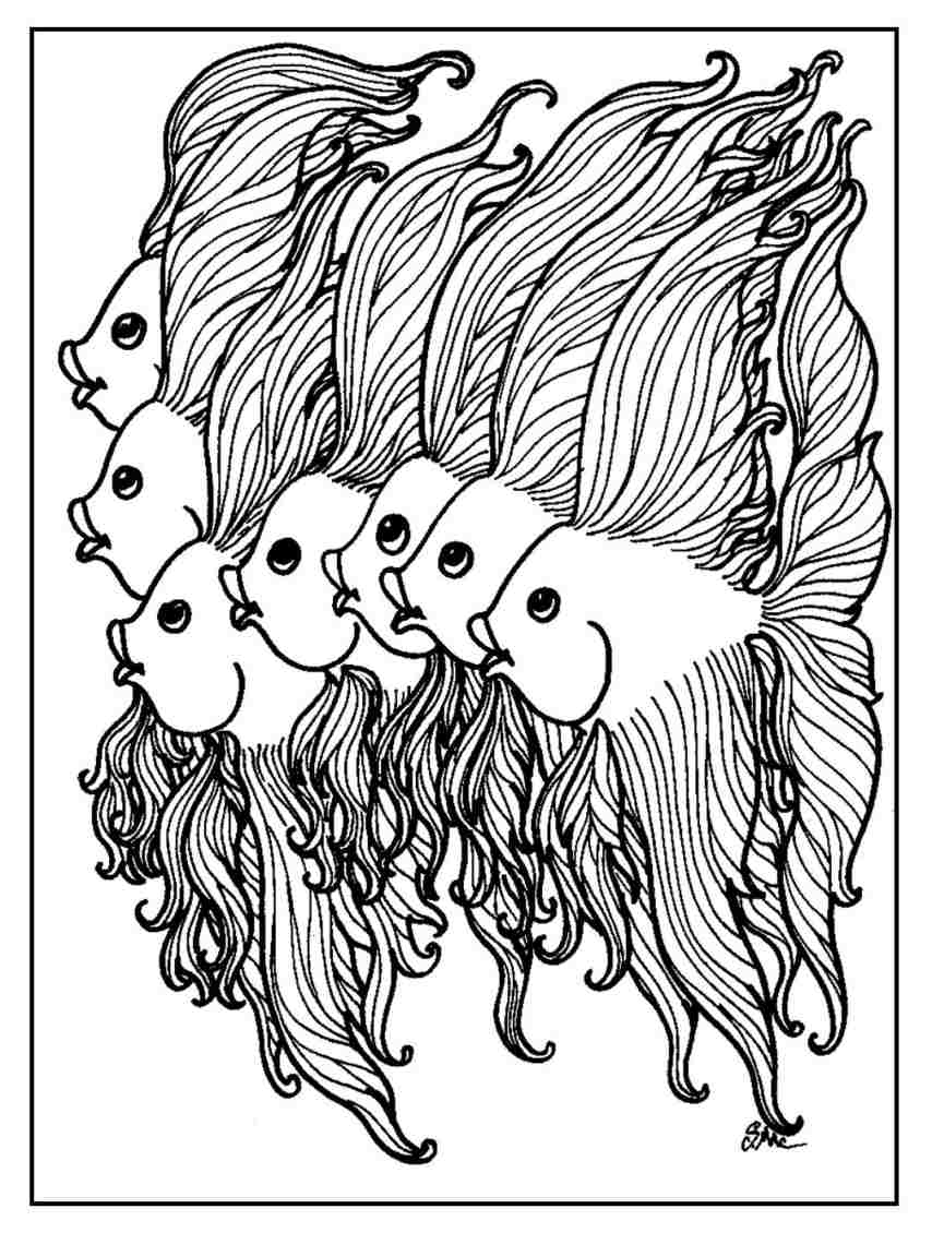 Fish Coloring Pages Adults Amazing Fish Coloring Pages 854x1130 Fish Coloring Pages Adults Amazing Fish Coloring Pages
