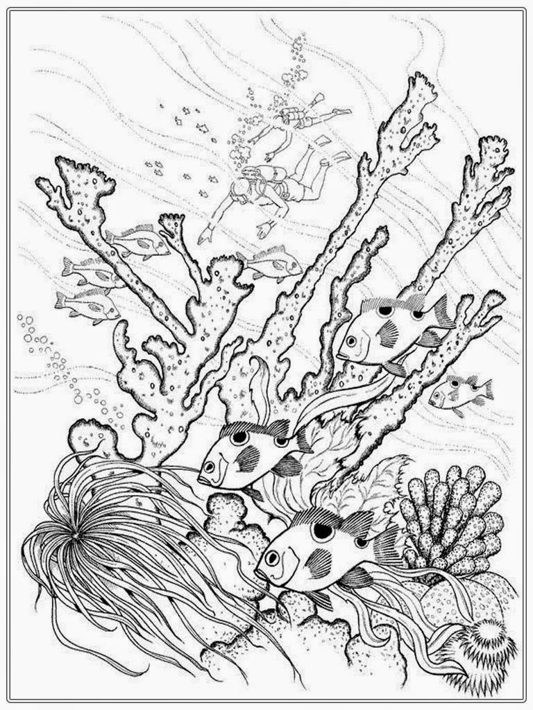 Saltwater Fish Coloring Pages 768x1024 Saltwater Fish Coloring Pages