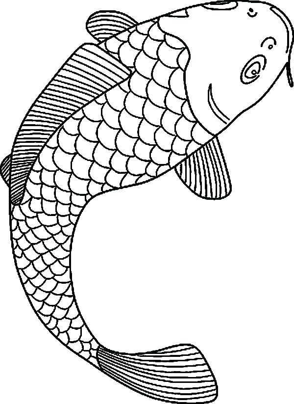 Coloring Realistic Fish Coloring Pages Tropical. Realistic Fish 600x823 Coloring Realistic Fish Coloring Pages Tropical. Realistic Fish