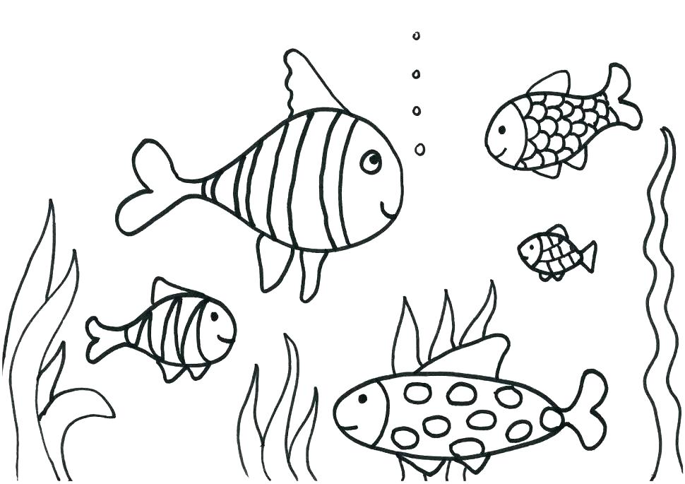 Fish Coloring Pages Free 970x685 Fish Coloring Pages Free