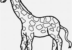 300x210 Giraffe Coloring Sheet Pictures Ten Adult Coloring For People Who